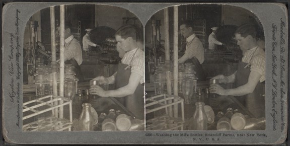 Washing_the_milk_bottles_Briarcliff_Farms_near_New_York_N.Y._U.S.A_by_Keystone_View_Company.jpg