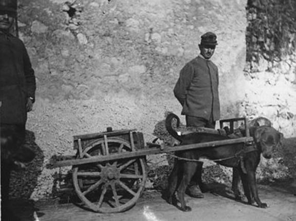 DogcartItalian1917