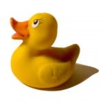 rubber-duck