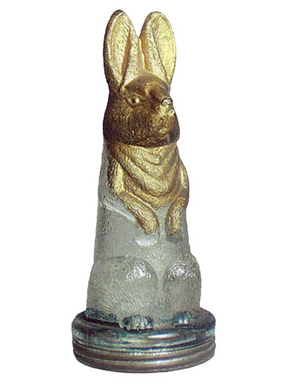 rabbit