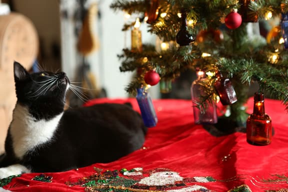 ChristmasPam3_12
