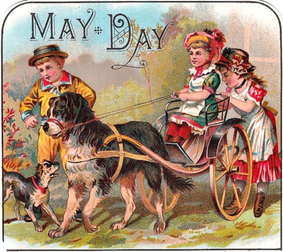 DogCart_MayDay