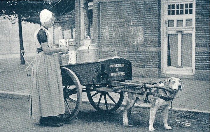 DutchDogCart