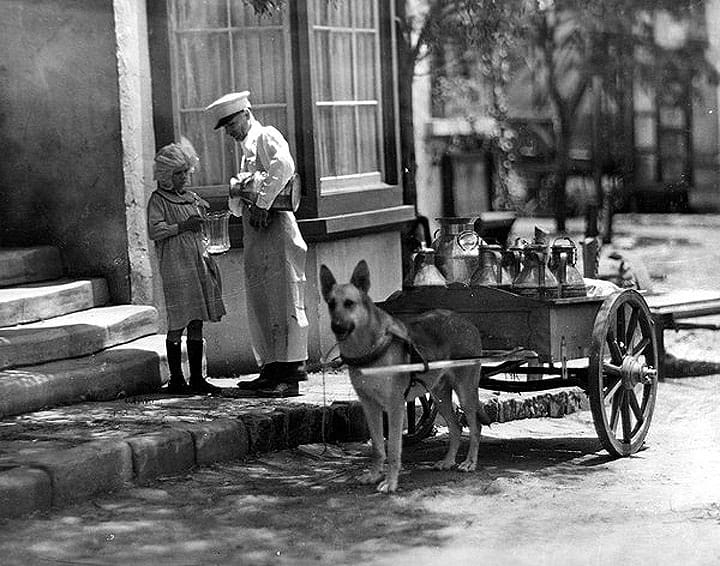 Milk_Lankershim_ca1910