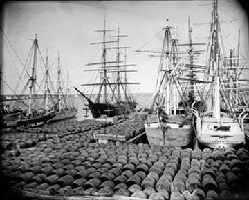 Ships_vinegar_bitters