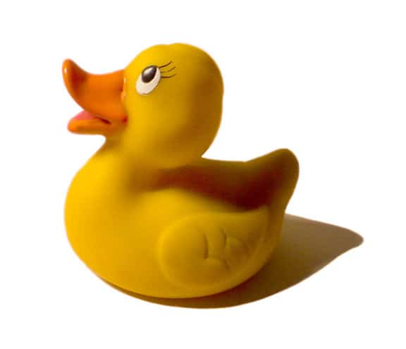 rubber-duck