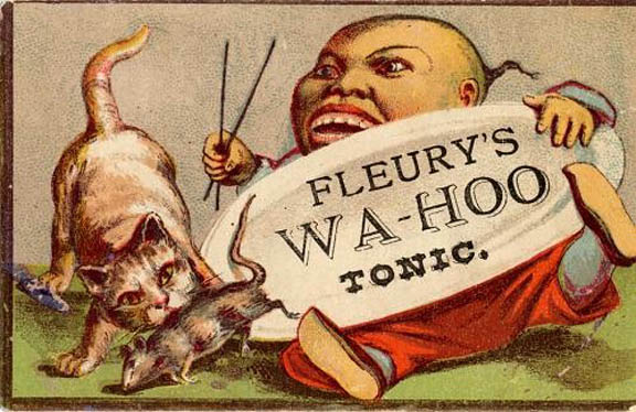 Fleury's Wa-HooTonic_TC