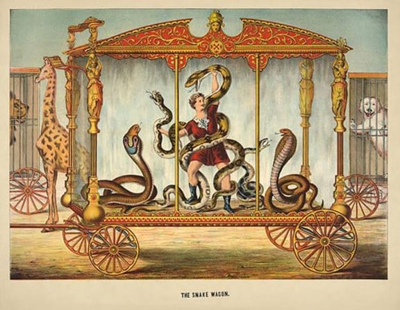 TheSnakeWagonCard