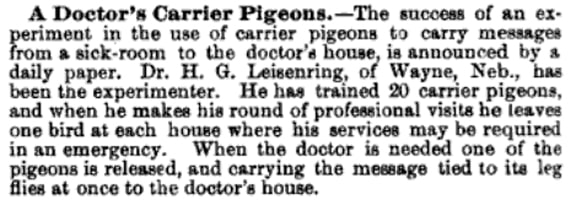 LeisenringPigeons