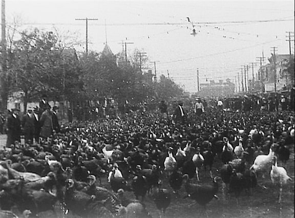 The_Sloane_Collection,_no._13_-_First_Turkey_Trot,_Cuero,_TX_(1912)_tn