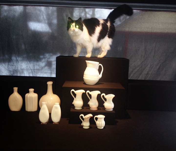 CatPhotobombsMilkGlass
