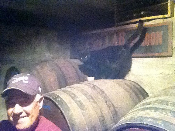 WebbsCat