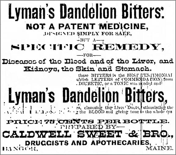Lymans_Bangor_Daily_Whig_and_Courier_Mon__Apr_21__1884_