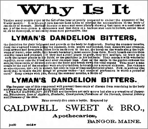 Lymans_Bangor_Daily_Whig_and_Courier_Mon__Jul_9__1883_